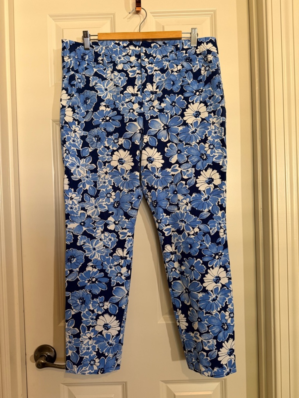 Old Navy Blue and White Floral Pixie Pants Size 14